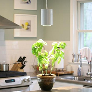 这是个专门帮助室内植物光合作用的智能LED灯