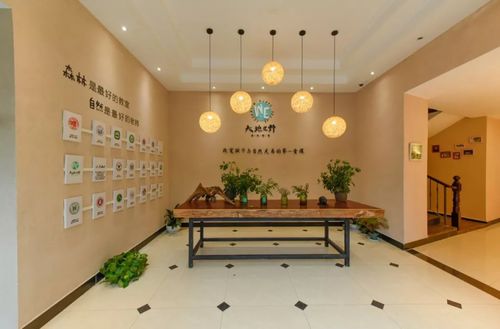 将自然的灵感流到笔尖 “祖庆说”工作室落地天空之城