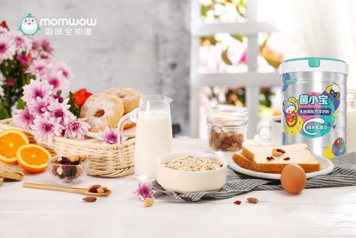 100%全羊乳蛋白 菌小宝再塑羊奶粉新营养