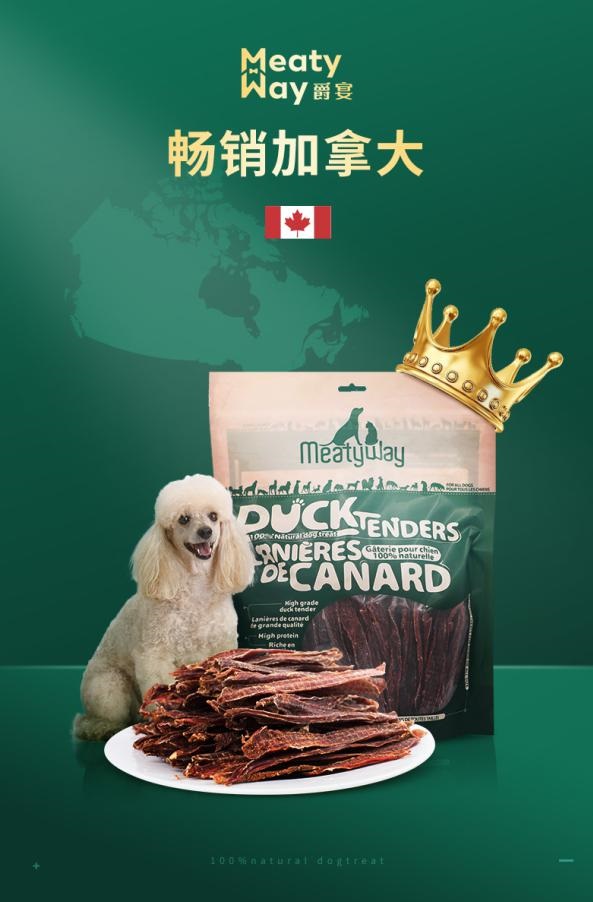 佩蒂携众星云逛亚宠展 倾情力献“燃炸”上海滩