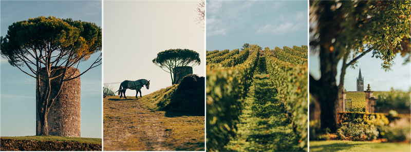 2024年份波尔多期酒品鉴落下帷幕 香奈儿旗下三家历史名庄佳酿领衔左右岸经典风范